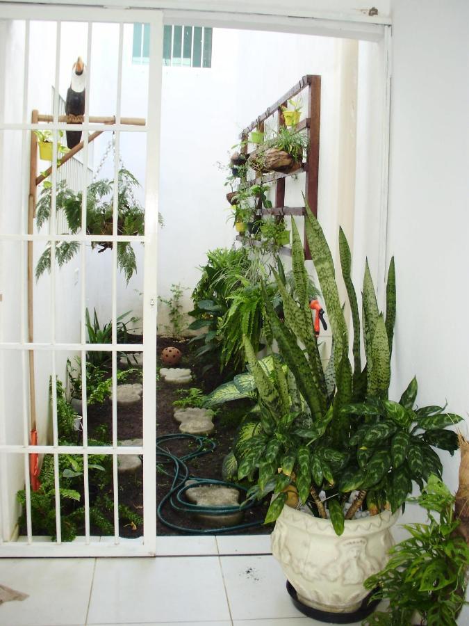 São Miguel dos MilagresAconchego Dos Milagres别墅 外观 照片